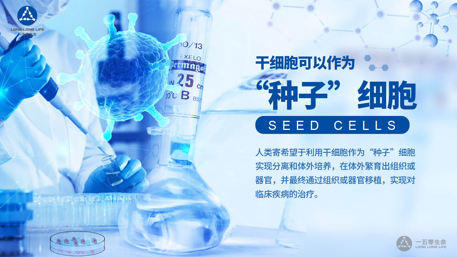 干細(xì)胞療法在抑郁癥治療中最新研究方向  