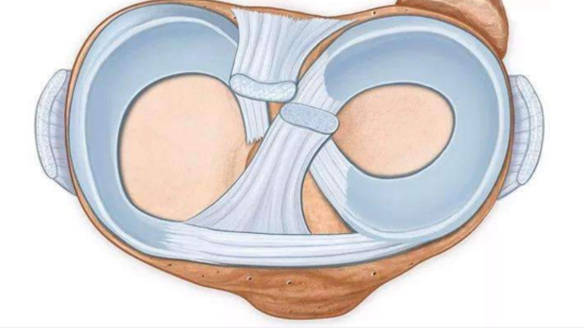 干細(xì)胞移植可以修復(fù)半月板損傷嗎？這些臨床案例數(shù)據(jù)，告訴你答案