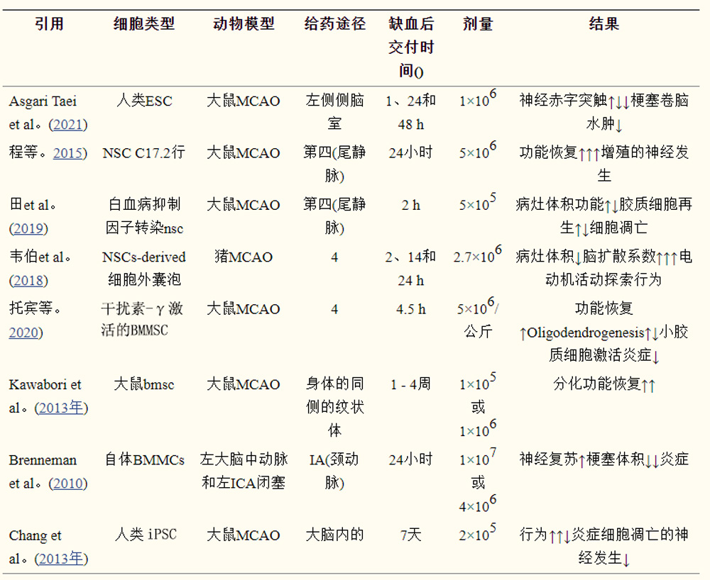 干細(xì)胞療法