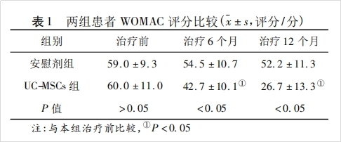 干細胞移植